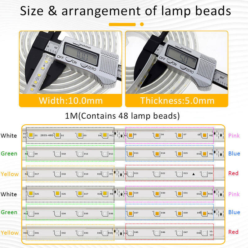 Bande lumineuse LED étanche avec flash coloré, 8 modes, prise UE, rouge, vert, bleu, blanc, rose, jaune, document modifiable, 220V