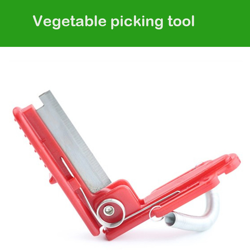 Separatore di coltelli per tondi di verdure strumento per la raccolta di frutta e verdura raccoglitore di frutta e verdura per attrezzi da giardinaggio per frutteti agricoli