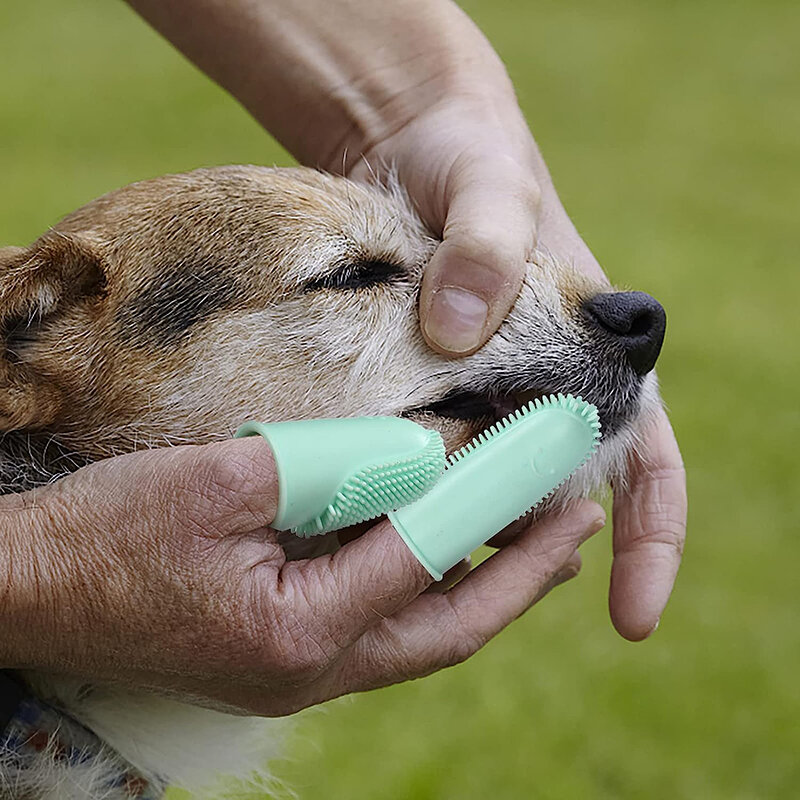 Cepillo de dientes de silicona para mascotas, herramienta de limpieza de dientes para perros, cuidado del mal aliento, no tóxico, suministros de limpieza para gatos