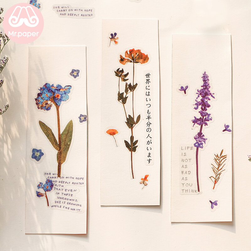 Mr.Paper-Natural Daisy Clover Palavras Japonesas Adesivos, Material PET Transparente, Flores Folhas e Plantas, Deco Adesivos, 12 Projetos