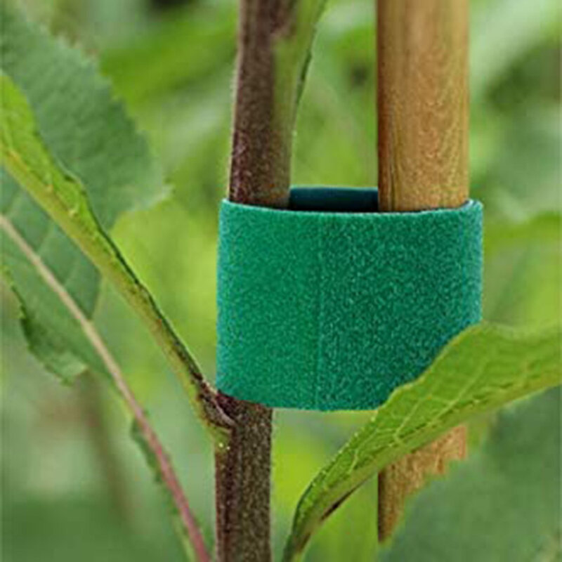 7 kolorów sznurki ogrodowe krawaty roślin nylonowych bandaż ogród hak pętli trzciny bambusowe Wrap wsparcie akcesoria ogrodowe