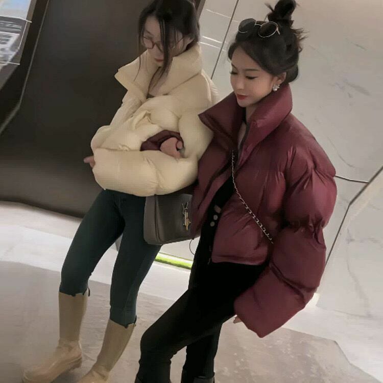女性のための厚手の綿パッド入りパーカー,スタンドカラーの十分なふくらんでいるコート,黒の女性の服,韓国のファッション,暖かい冬