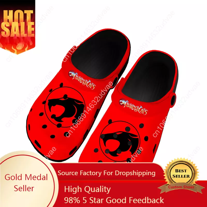 Thundercats Red Cartoon Home Clogs Custom Water Shoes Mens Womens Teenager Shoe Garden Clog Breathable Beach Hole Slippers