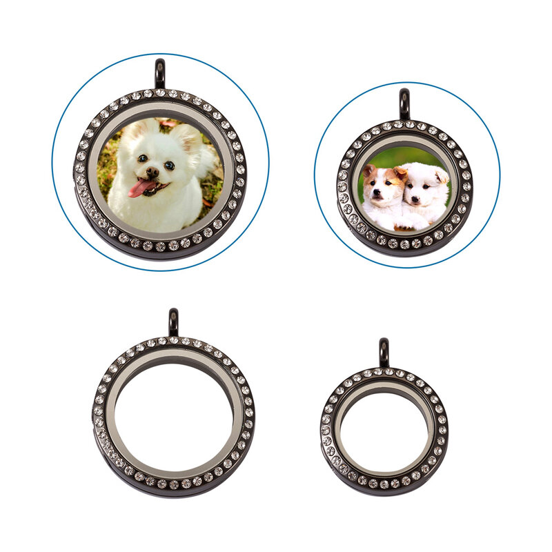 Dijes de marco de fotos de cristal redondo de corazón, colgantes de medallón magnético de aleación para la fabricación de joyas, collar de mascotas Diy, llaveros, regalos, 1 caja