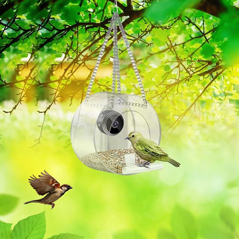 جهاز تغذية الطيور الذكي مع الكاميرا ، اتصال واي فاي P ، تسجيل في الوقت الحقيقي ، شحن USB ، كاميرا صغيرة ، مستلزمات الحيوانات الأليفة الصغيرة