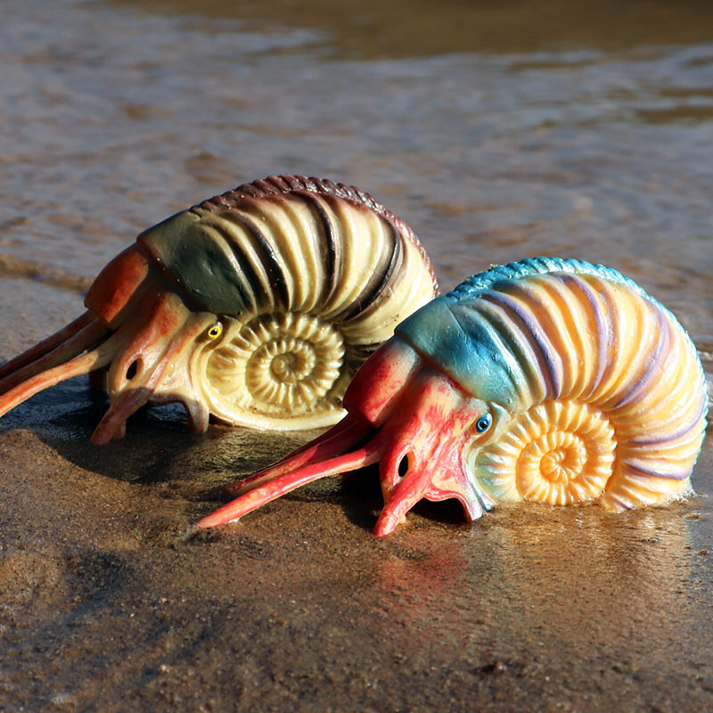 New Sea Life Ocean modello animale cavalluccio marino stella marina Nautilus eremita granchio Action figure e giocattoli raccogli giocattolo educativo per bambini