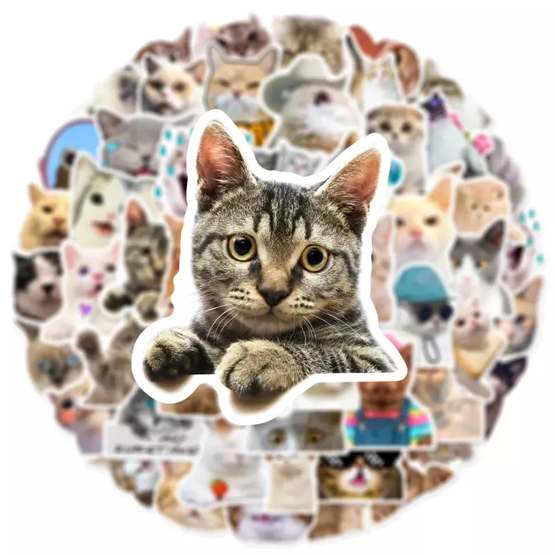 50 buah Kawaii stiker kucing MEME lucu stiker lucu untuk botol air Laptop Skateboard buku tempel bagasi stiker telepon mainan anak