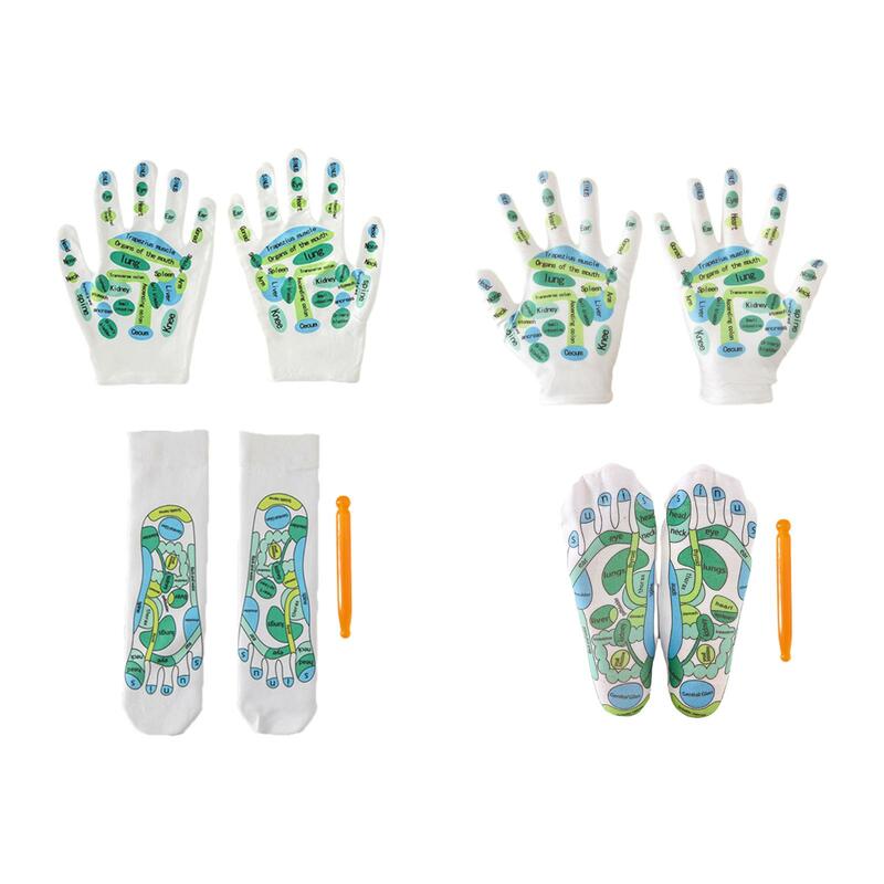 4x Acupressure Reflexology Tools Set Reusable Comfortable with Zones Marked with Point Pen for Women Men Beginner Adults