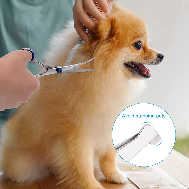 Profesjonalny nożyczki do pielęgnacji psów z okrągłymi końcówkami bezpieczeństwa, wytrzymały tytanowa stal nierdzewna wygięty nożyczki do pielęgnacji zwierząt domowych