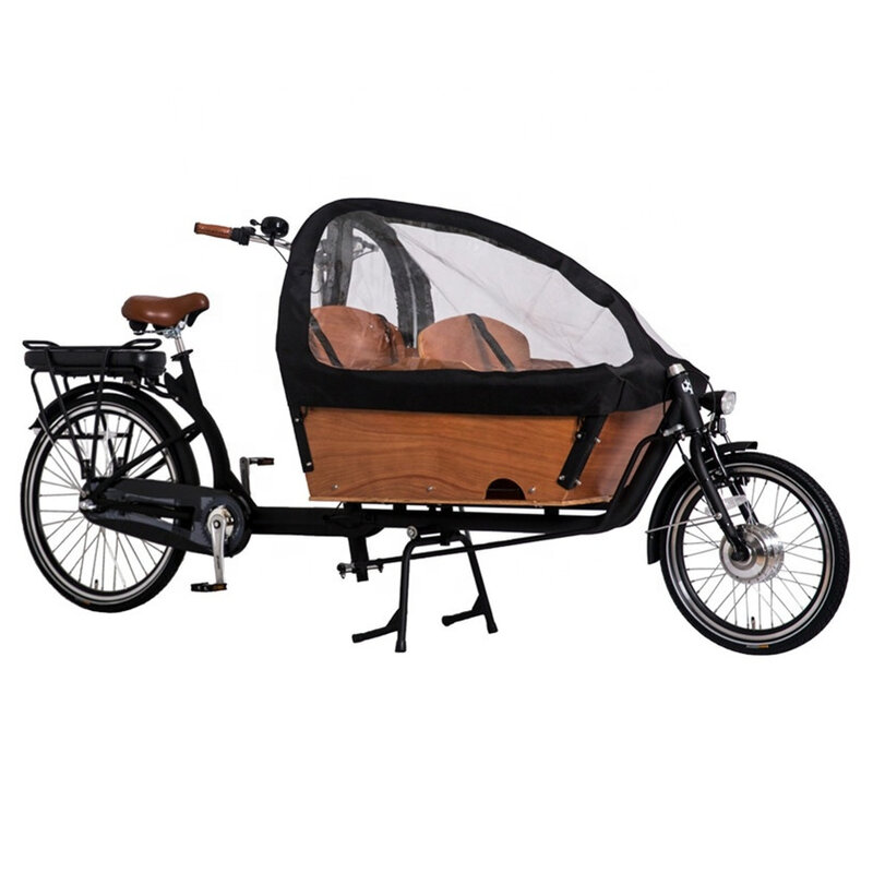 pets cargo bike 2 wheel electric bicycle family cycle for taking kids 3 seats