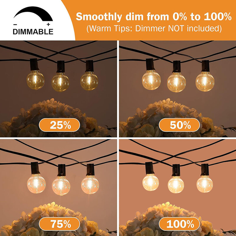 Guirxiété Lumineuse G40 LED Dégradable pour ixde Noël, Luminaire Décoratif d'Extérieur, Idéal pour un Jardin ou une Rue