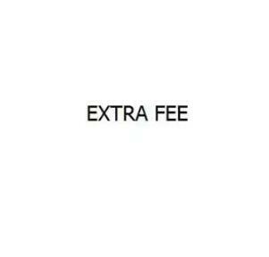 Extra Fee