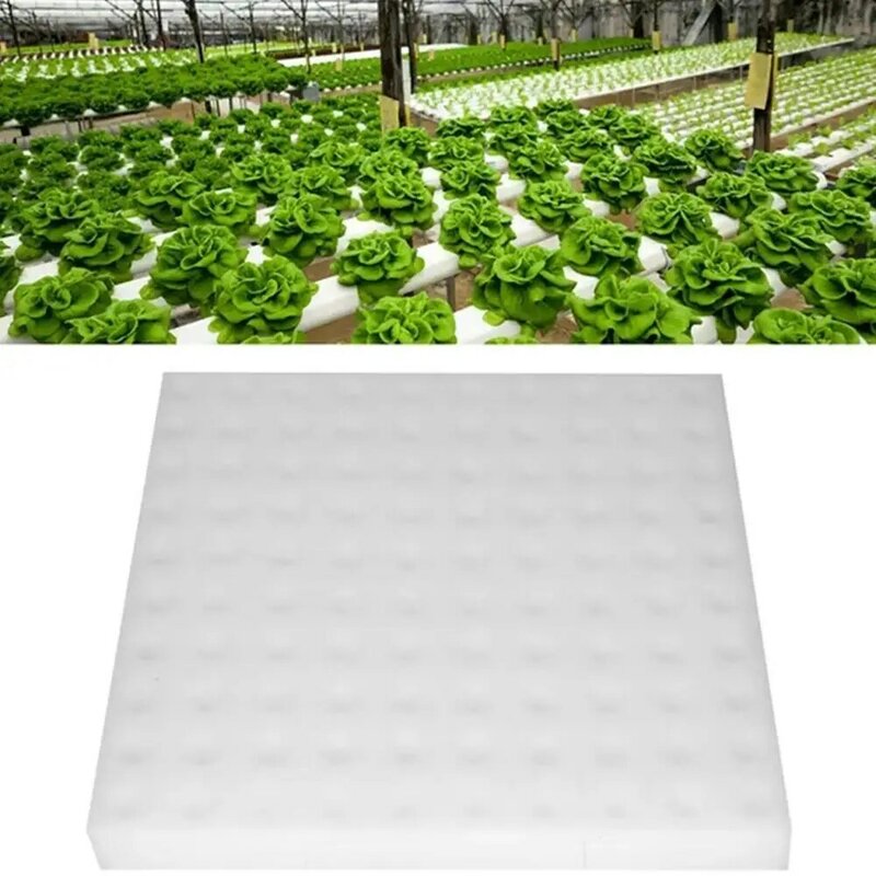 Esponjas de plántulas hidropónicas sin suelo, bloques cuadrados de esponja de plántulas para cultivo de macetas de vivero, vegetales, 100 piezas