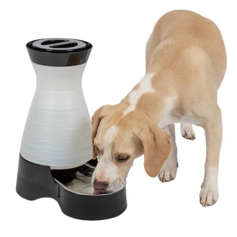 건강한 애완동물 물 스테이션, 개와 고양이 물 시스템, 스테인리스 스틸 그릇, 미디엄, 128 oz