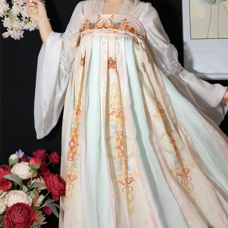 Vestido tradicional hanfu feminino, estilo chinês, elegante, estampa floral antiga, fantasia de princesa, dinastia Tang, conjuntos de fadas orientais retrô