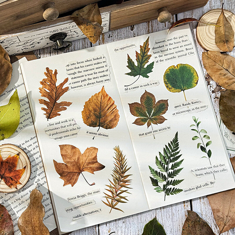 12 Packungen/viel fallende Blätter wissen Herbst Serie niedlich schön dekorieren Haustier Aufkleber