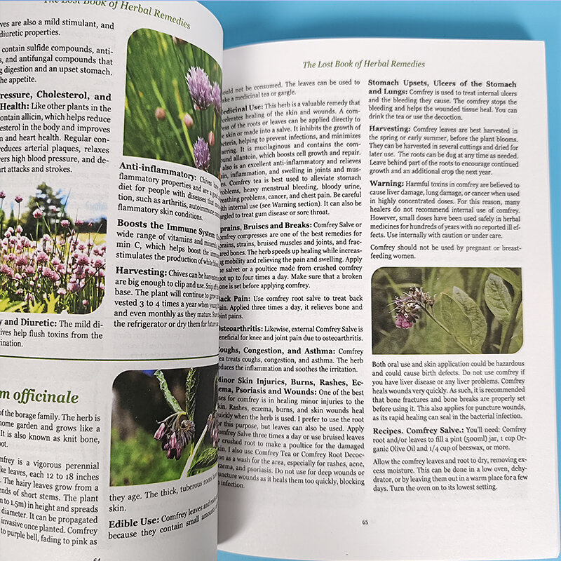 Libro Perdido de remedios herbales, libro en inglés, el poder curativo de la medicina vegetal, Paperback, nuevo