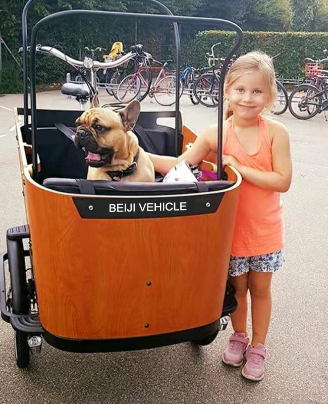 Vélo cargo électrique avec certificat CE, porte-chien pour animaux de compagnie, poussette pour grands chiens