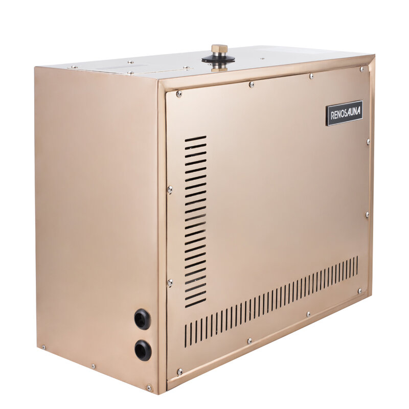 Generador de vapor portátil para el hogar, máquina de Sauna húmeda eléctrica, 4,5 kW