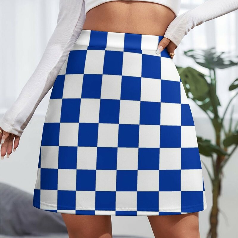Blue and White Kentucky Checkerboard Mini Skirt korean luxury clothing skirt set