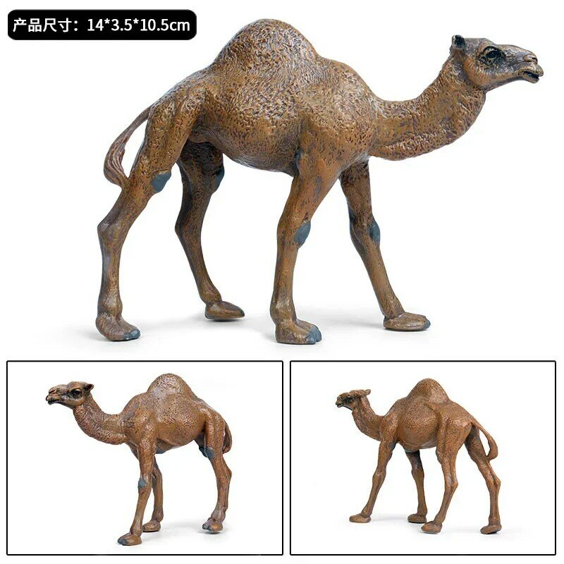 Figura de camello de dromedario simulado, juguete de colección de modelo de camello de PVC, Animal salvaje, decoración de regalo para niños, estatuilla educativa de enseñanza