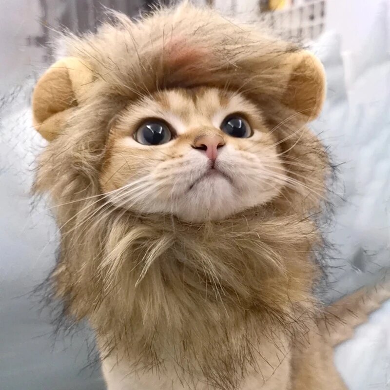 Cute Lion Mane Cat Wig Hat Cat Costume Cosplay Clothes Cap Dress Up Puppy Kitten Halloween Christmas Party Decoration Supplies