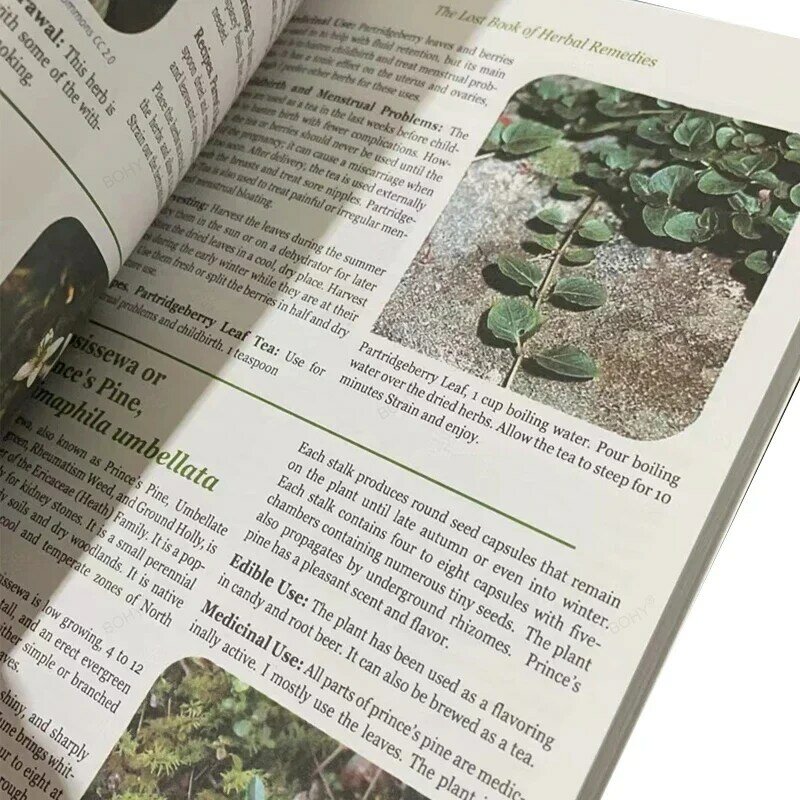 약초 요법의 잃어버린 책, 식물 의학의 치유력, 컬러 내부 페이지 페이퍼백