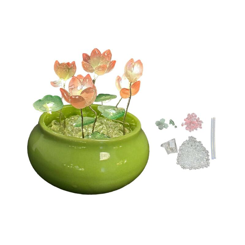 DIY Lotus Night Light Material Package for Cafe Birthday Gift Anniversary