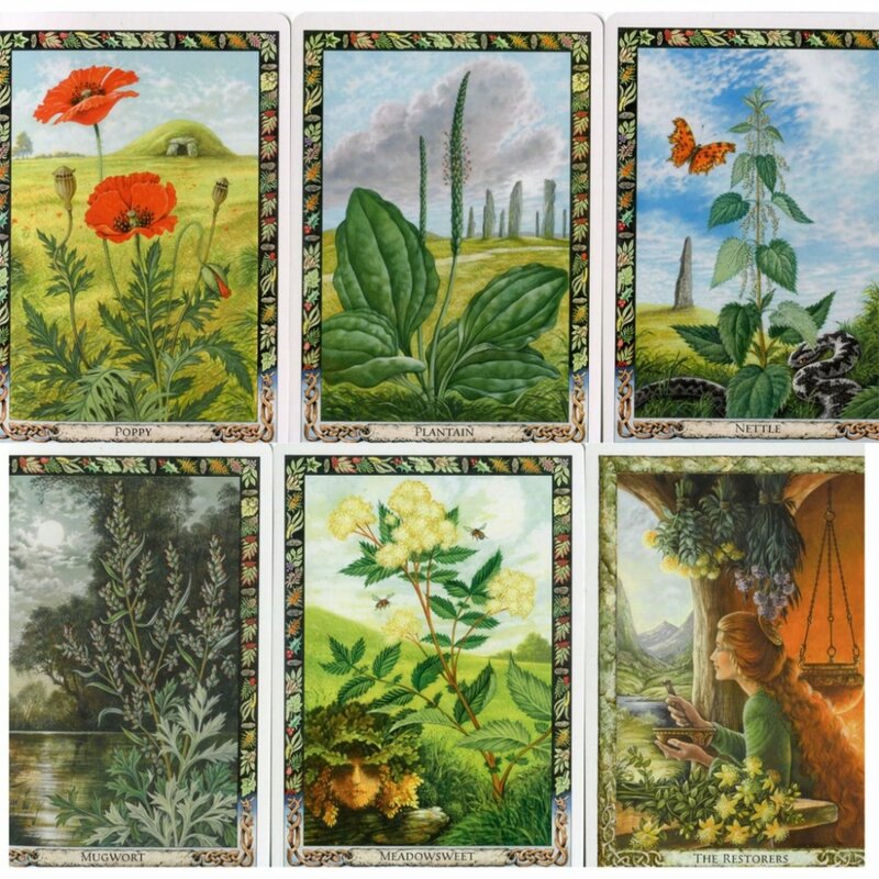 بطاقات أوراكل للنبات الكهنة ، تعمل مع النباتات السحرية لثقافة الكهنة ، من من من من من من من من من 36 * من من من من من