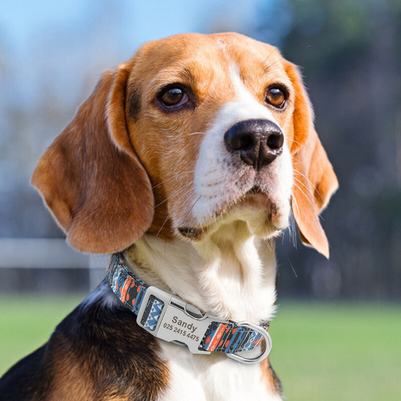 Collare per cani in Nylon regolabile cani personalizzati collari identificativi per gatti con fibbia con nome inciso anti-perso per cani di taglia medio-piccola