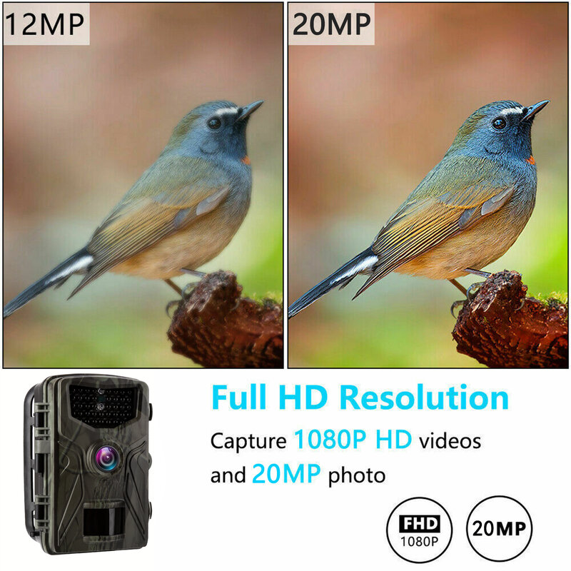 Cámara de rastreo para caza, dispositivo de vigilancia con visión nocturna infrarroja HC804A, 20MP, 1080P, trampas para fotos salvajes