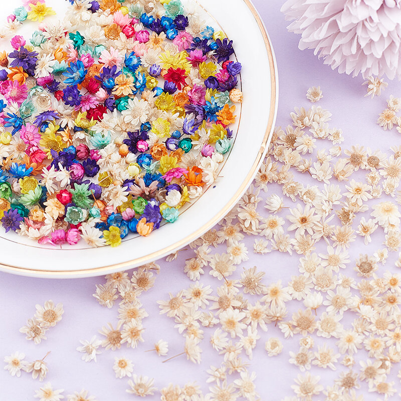 200pcs Dried Flowers For DIY Epoxy Resin Candle Making Jewellery Glass Filler
