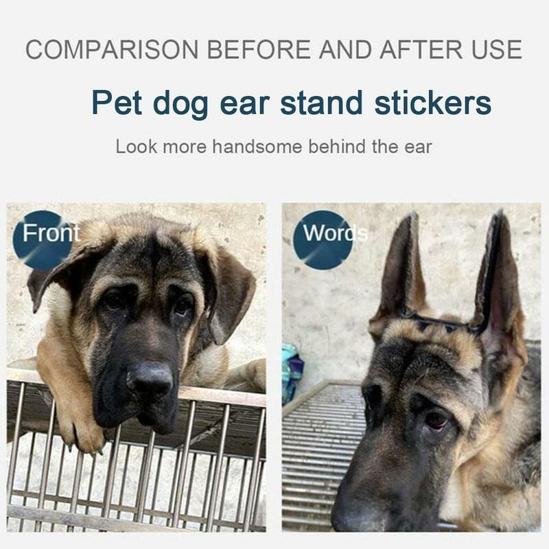 Pet Dog Ear Stand Stickers Free Standing Ear Correction Aid Stickers Large And Small Dogs Ear Stand Straightener Accessories