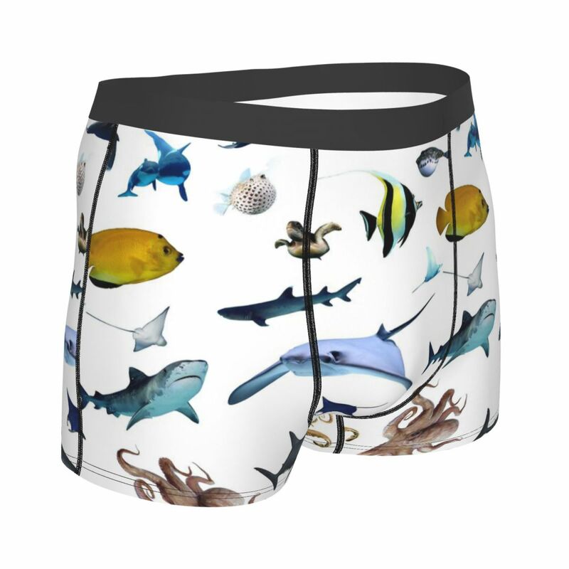 กางเกงบ็อกเซอร์ของผู้ชายไอเดียของขวัญกางเกงขาสั้นพิมพ์ลาย3D กางเกงชั้นในระบายอากาศสูงหลากสีปลาเขตร้อน