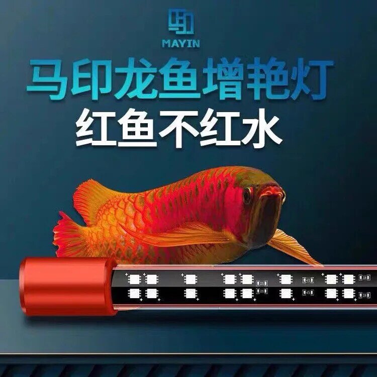 Ma yin dragão peixe três cor primária iluminando dragão peixes iluminando tanque de peixes led luz