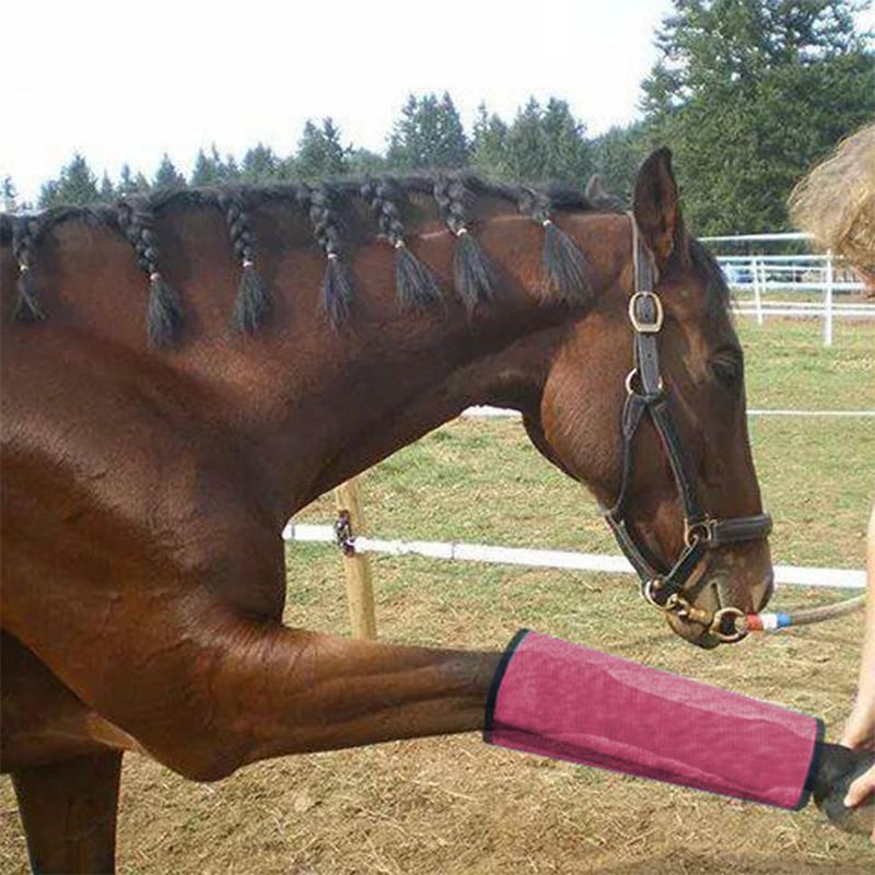 Conjunto de 4 botas de cavalo para mulher, conjunto de 4 botas de cavalo, reutilizáveis, malha respirável, conforto, para fadiga nas pernas, reduz a fadiga