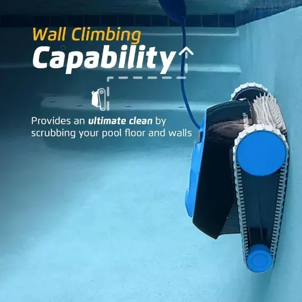 مكنسة كهربائية آلية لحمام السباحة من دولفين نوتلس سي سي ، جميع حمامات السباحة حتى جدار 33 قدمًا ، فرشاة تنظيف