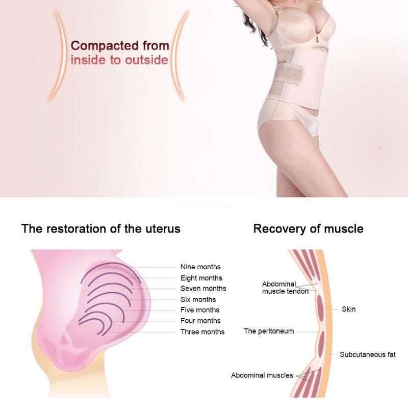 Bande abdominale récupération post-partum pour femmes enceintes, ceinture maternité en forme d'abdomen, livraison directe