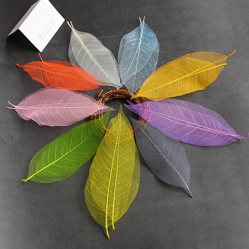 Aqumotic-guirnalda de hojas secas prensadas, decoración de follaje de 20 piezas, imágenes artísticas, marcapáginas, notas