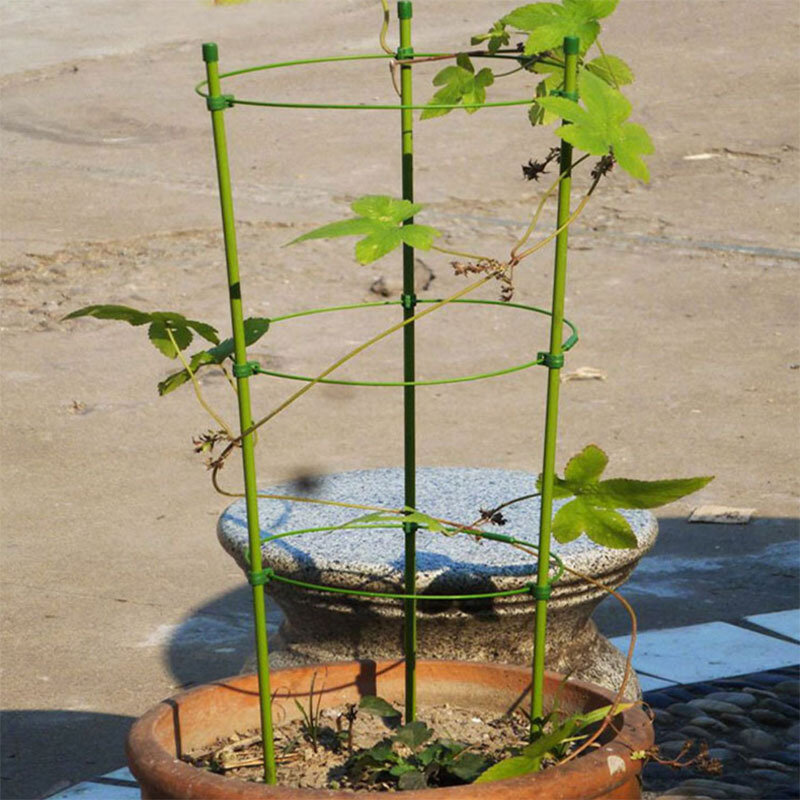 Support de plantes grimpantes, treillis de jardin, support de fleurs, anneaux de support de tomate, , créatif, vigne grimpante, T1