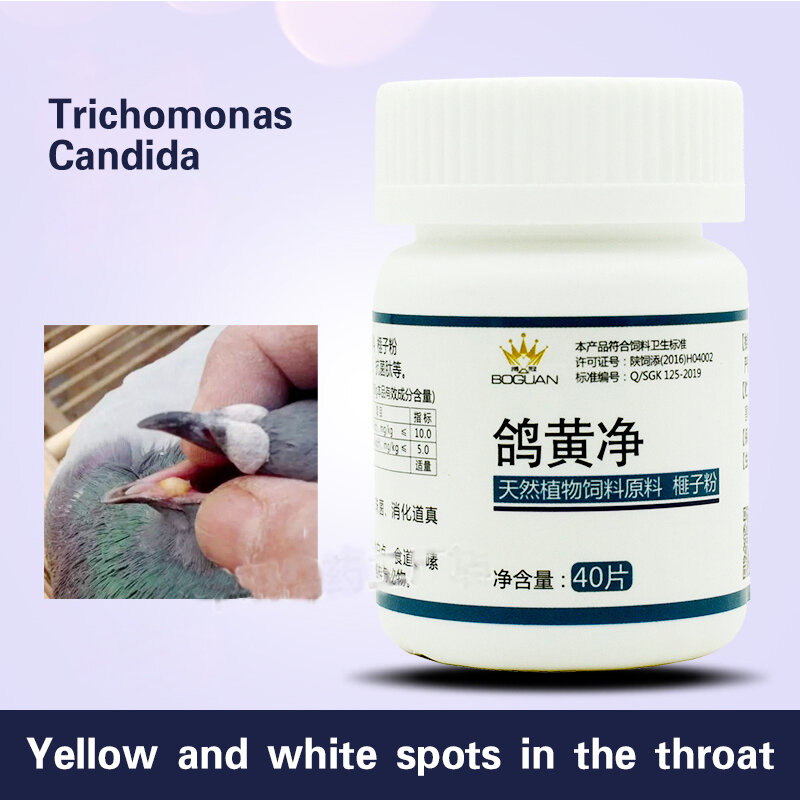 Trichomonas فم الحمام ، شبكة صفراء ، دواء حمام السباق ، مرض شائع ، حمام Bo Crown المنزلي مع طائر الببغاء خاص