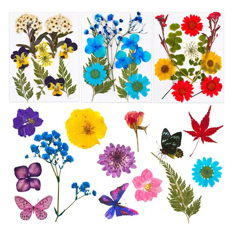 1แพ็คดอกไม้แห้งวัสดุ Pack DIY UV อีพ็อกซี่เรซิ่น Filler Herbarium สติกเกอร์ผีเสื้อ