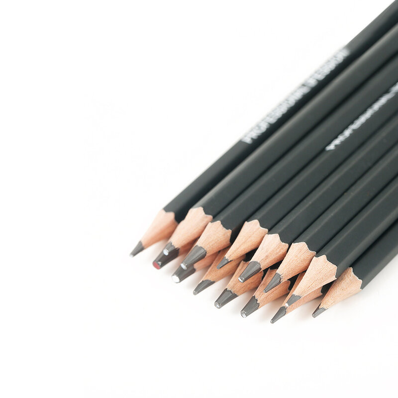 14PCS matita professionale in legno disegno in grafite matita per schizzi matita per ufficio scuola 12B 10B 8B 7B 6B 5B 4B 3B 2B HB 2H 4H 6H