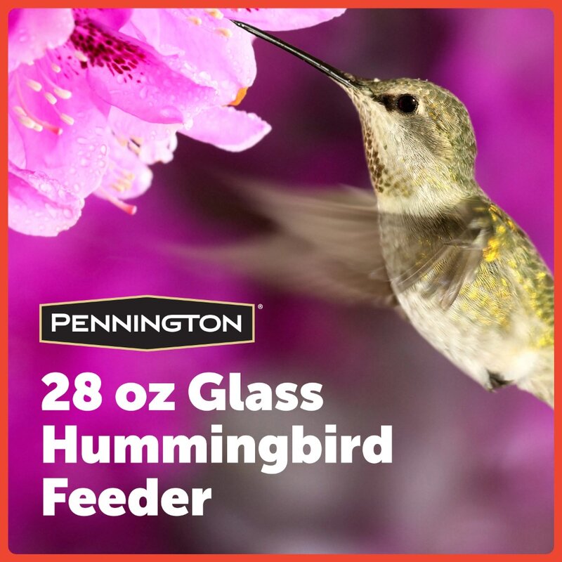 Red Glass Hummingbird Bird Feeder, 28 oz. Capacity, 2 Pack