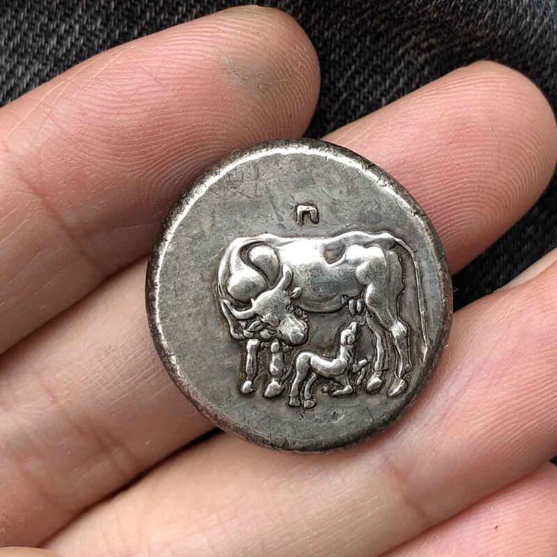 Moneda de bolsillo conmemorativa de la buena suerte con bolsa de regalo, moneda de lujo con diseño 3D divertido de búfalo griego, madre e hijo, novedad artística