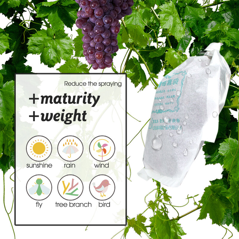 Tas pelindung anggur kertas putih 50/100 buah untuk Orchard Mothproof tahan air buah budidaya tumbuh melindungi penutup kantong anggur