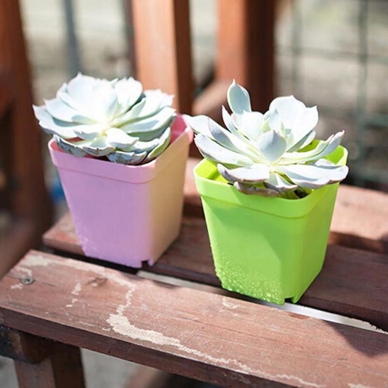 Pot tanaman sukulen bunga plastik persegi, Pot bunga dengan nampan asli kaktus lumut bernapas Bawahan Bonsai