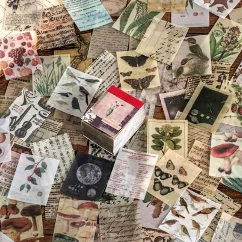 Vintage decorativo antigo papel, DIY Scrapbooking, Journaling suprimentos, planta, animal, borboleta, pássaro, artesanato de arte