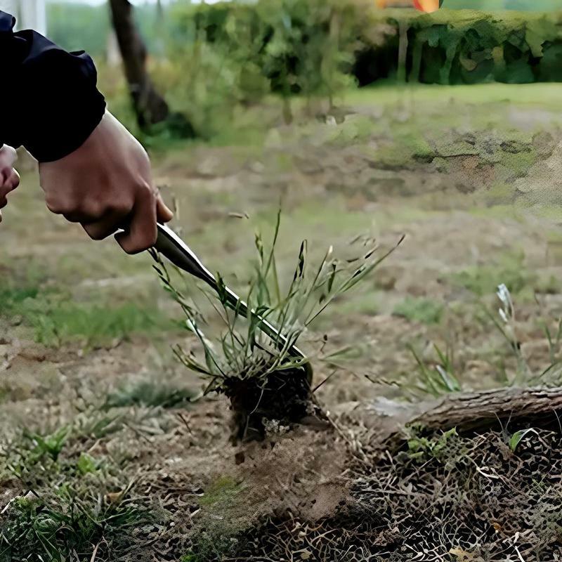Toolweeding pemotong rumput Manual taman Dandelion tangan alat berkebun penarik garpu penghilang rumput kait teras logam tangan Weeder