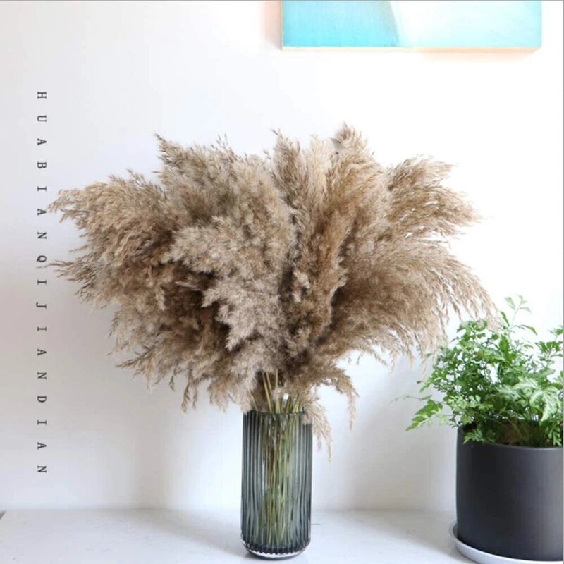 Pampas Grass Natual Dried Flowers Boho Home Wedding Party Vase DIY Dining Table Christmas Thanksgiving New Year and Spring Decor